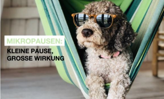 Schriftzug: "Mikropausen: kleine Pause, Große Wirkung" und eine Hund mit Sonnenbrille. 